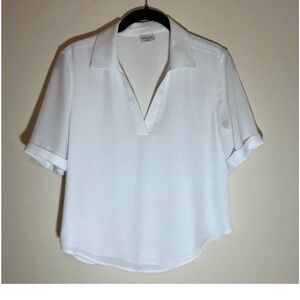 Aritzia Babaton xs blouse bundle